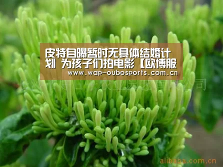 皮特自曝暂时无具体结婚计划 为孩子们拍电影【欧博服务】(图1) 欧博游戏