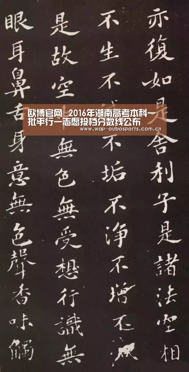 欧博官网-2016年湖南高考本科一批平行一志愿投档分数线公布(图4) 欧博官网