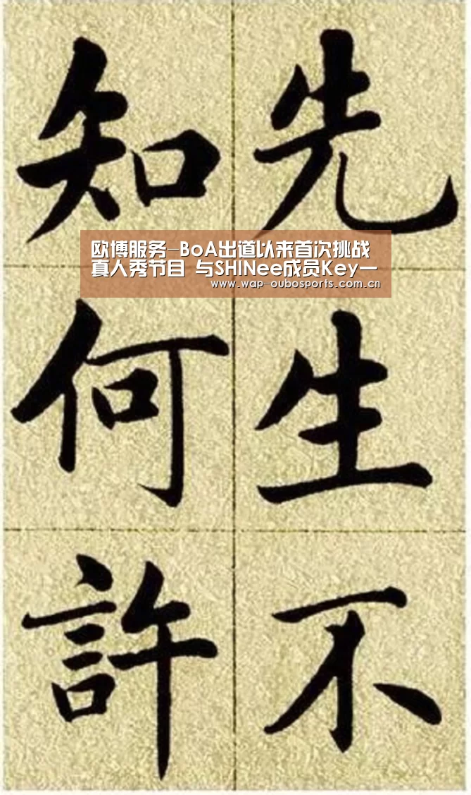 欧博服务-BoA出道以来首次挑战真人秀节目 与SHINee成员Key一同出演(图2) 欧博服务