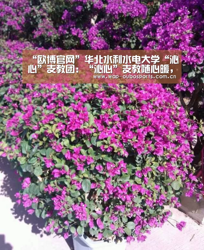欧博服务